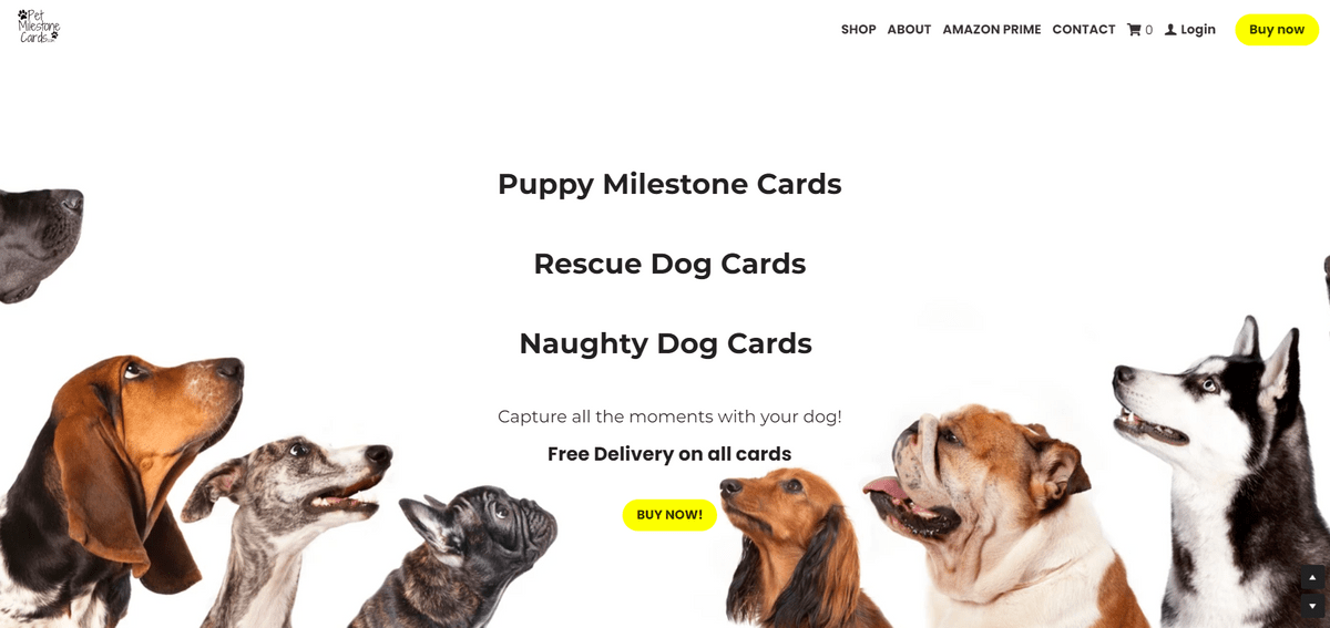 Pet seasonal marketing