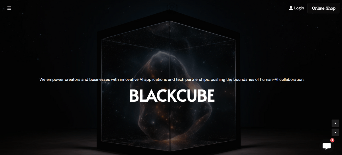 Blackcube seo guidelines