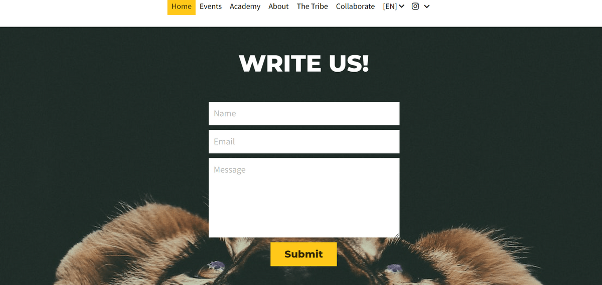 Email automation tips like Playfight
