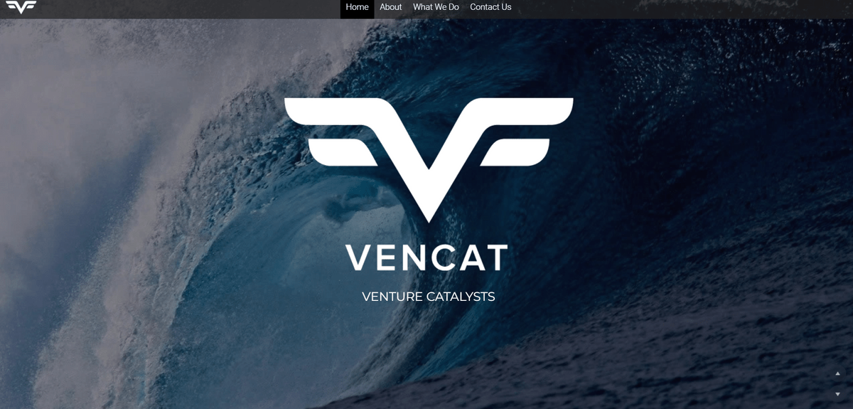 Brand name ideas like Vencat Brand name ideas like Vencat