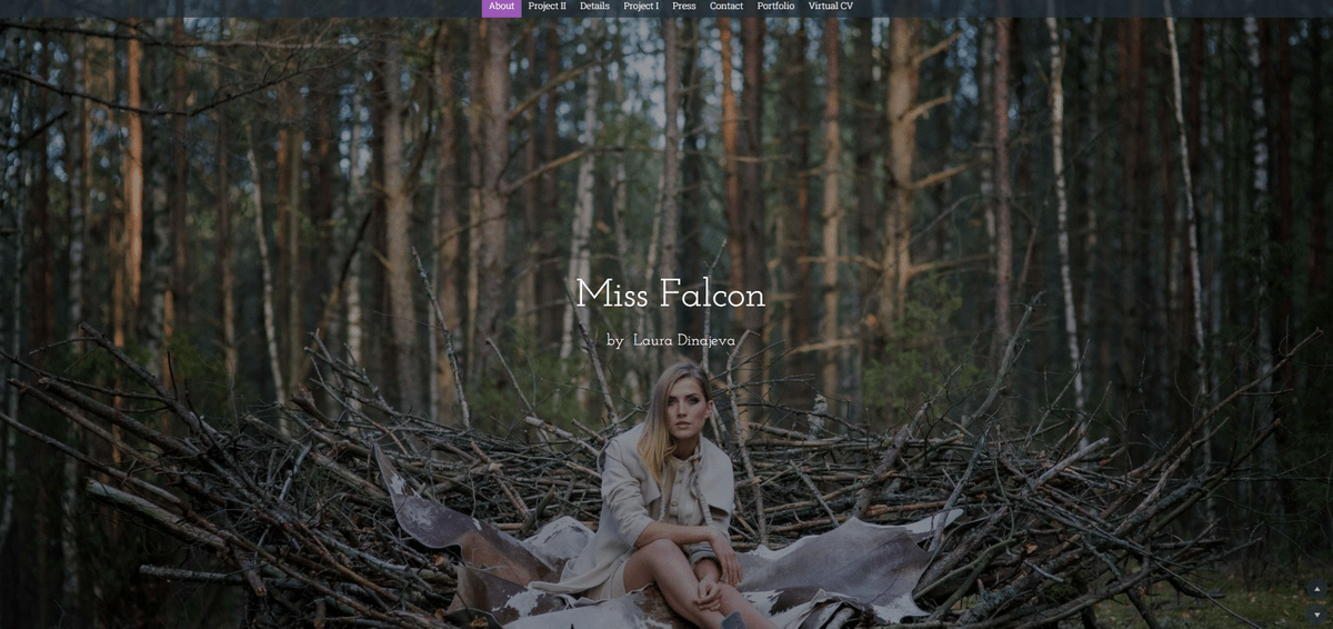 Jewelry business like Falcon