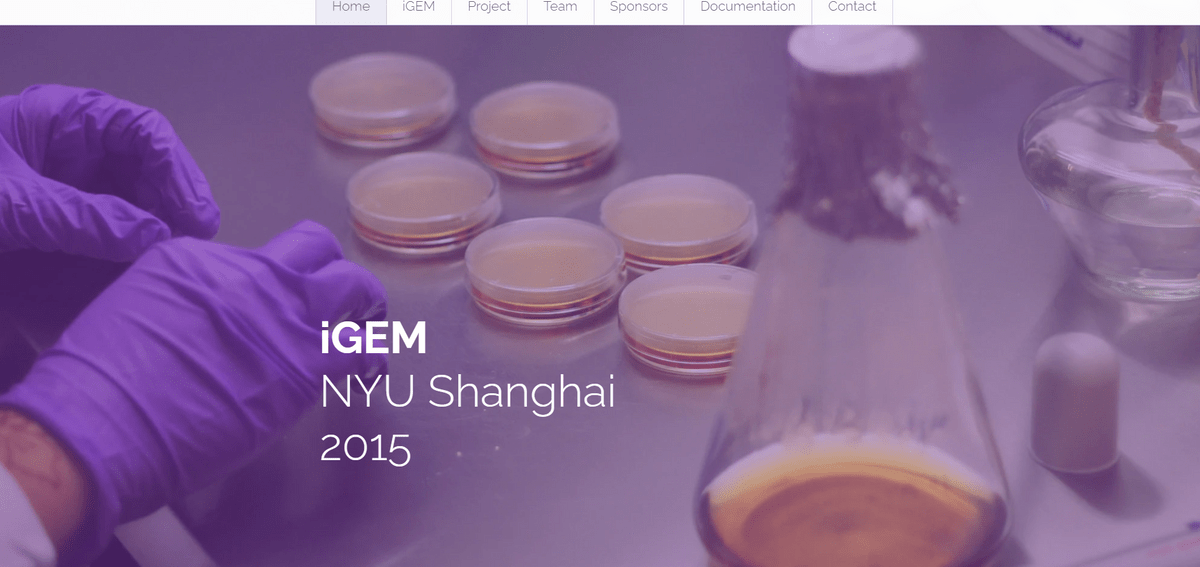 Linea di prodotti per la cura della pelle NYU Linea di prodotti per la cura della pelle NYU