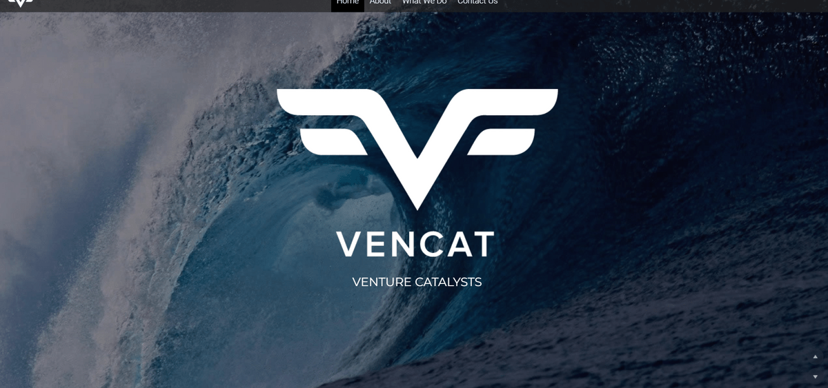 Vencat整体开发成本 Vencat整体开发成本