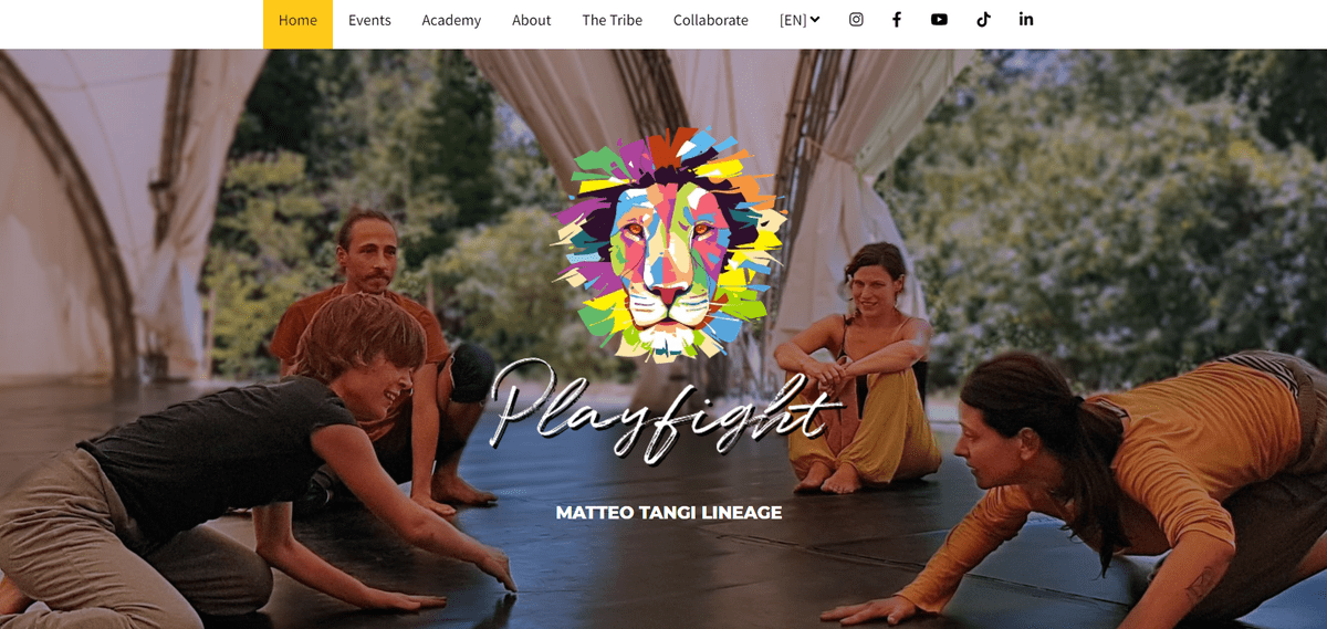 Playfight ecommerce websites