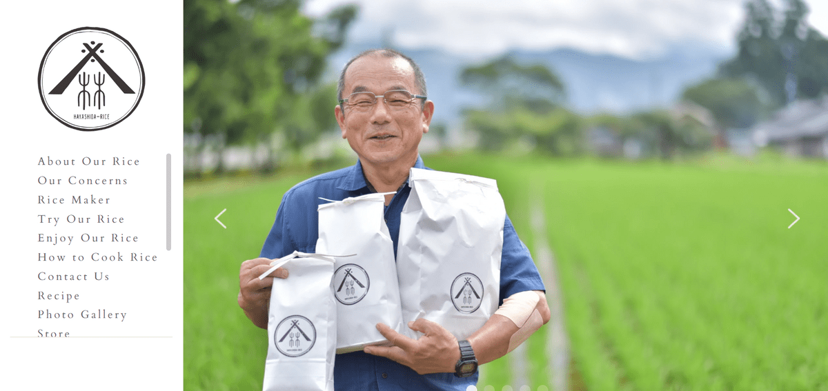 Hayashida advertising strategies