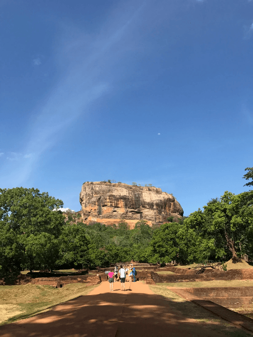 Section image