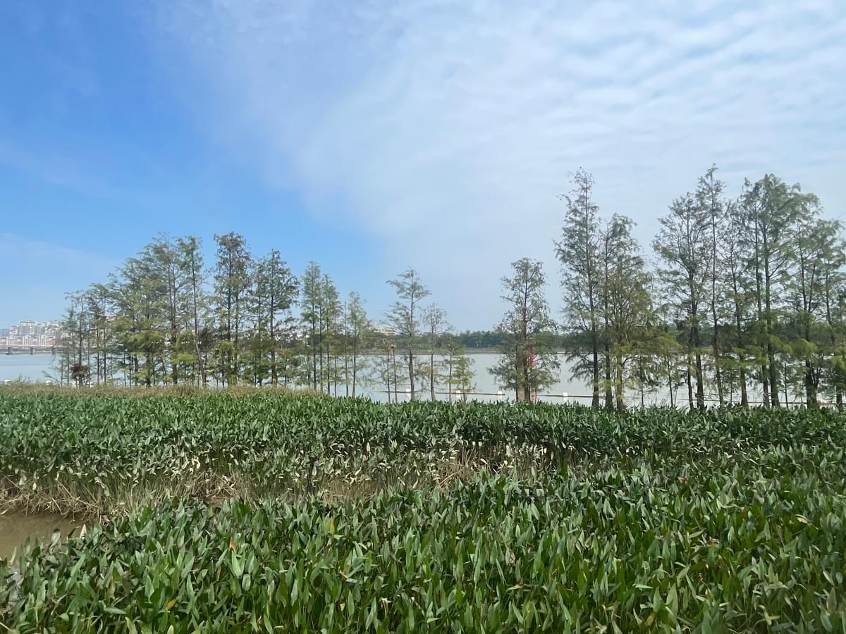 Section image