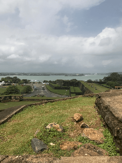 Section image