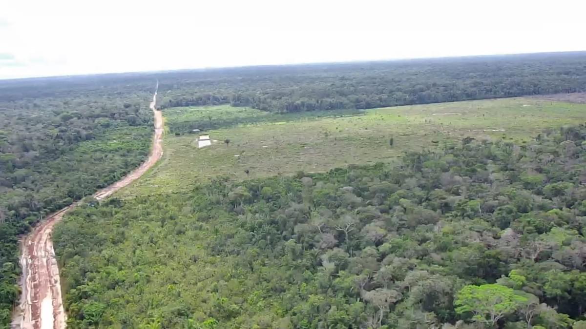 Section image
