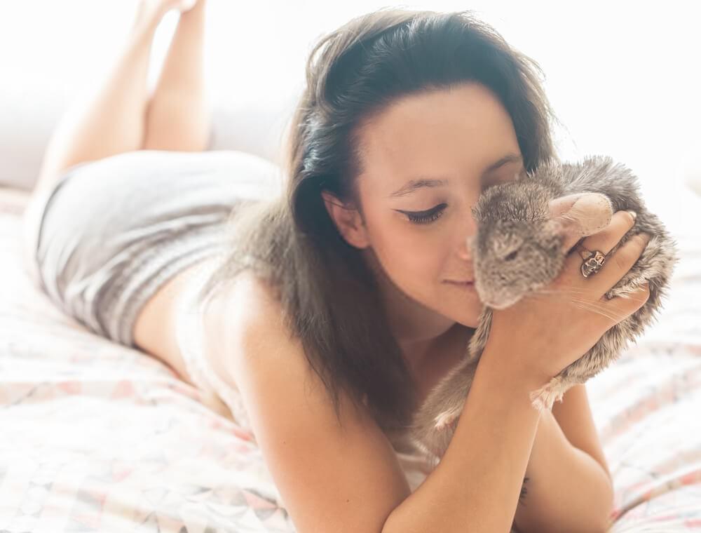 women cuddling with chinchilla women cuddling with chinchilla