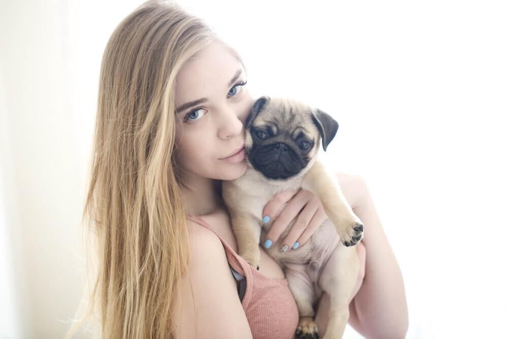 best small dog for cuddling best small dog for cuddling