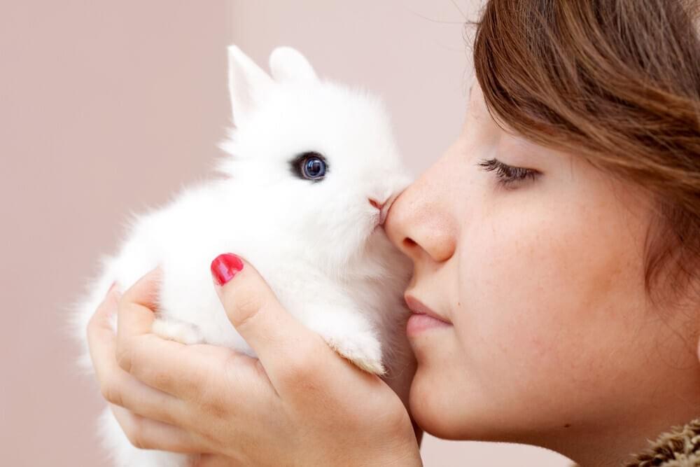 a girl cuddlin with her rabbit pet a girl cuddlin with her rabbit pet