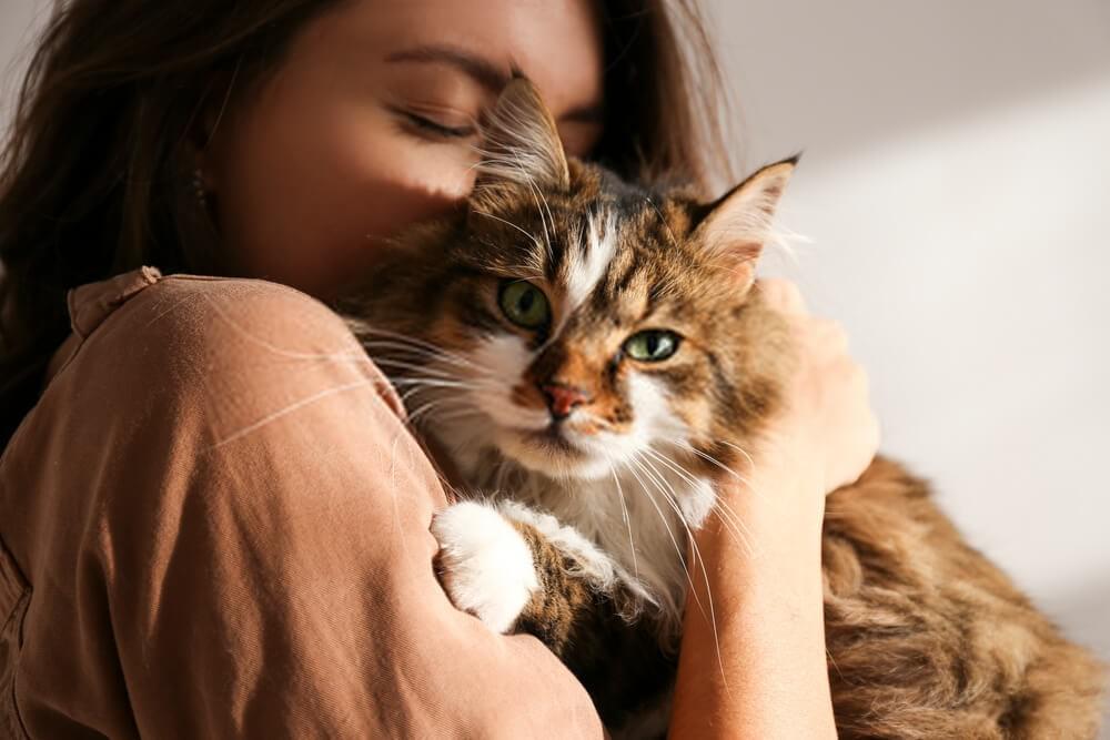 women cuddling with her cat women cuddling with her cat