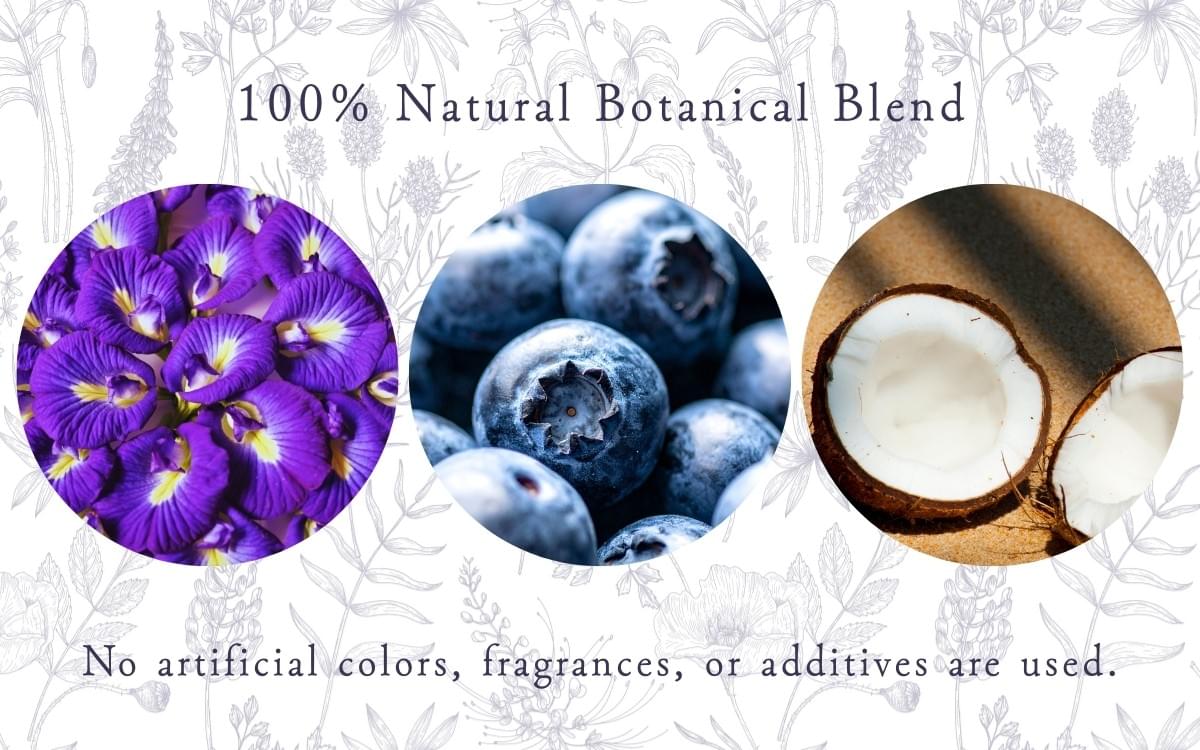Ingredient visual of BLUE MATCHA featuring butterfly pea flowers, blueberries, and coconut. A 100% natural botanical blend with no artificial colors, fragrances, or additives. Ingredient visual of BLUE MATCHA featuring butterfly pea flowers, blueberries, and coconut. A 100% natural botanical blend with no artificial colors, fragrances, or additives.