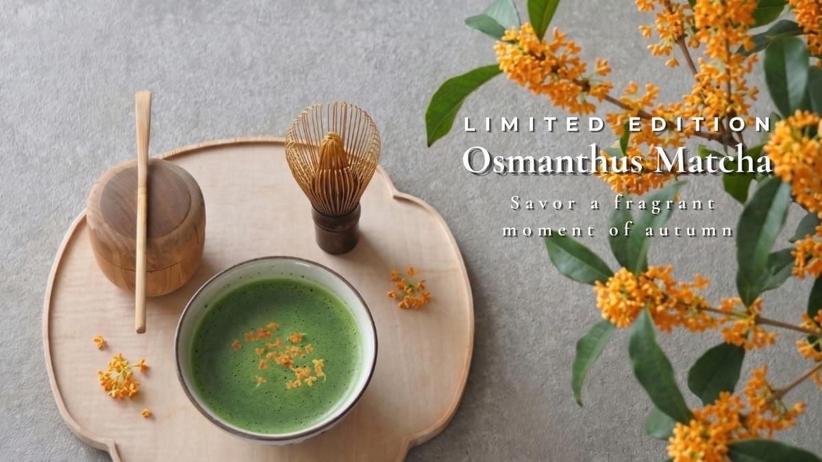 WACHA limited-edition osmanthus matcha topped with osmanthus flowers, arranged with a bamboo whisk and tea scoop in natural light WACHA limited-edition osmanthus matcha topped with osmanthus flowers, arranged with a bamboo whisk and tea scoop in natural light