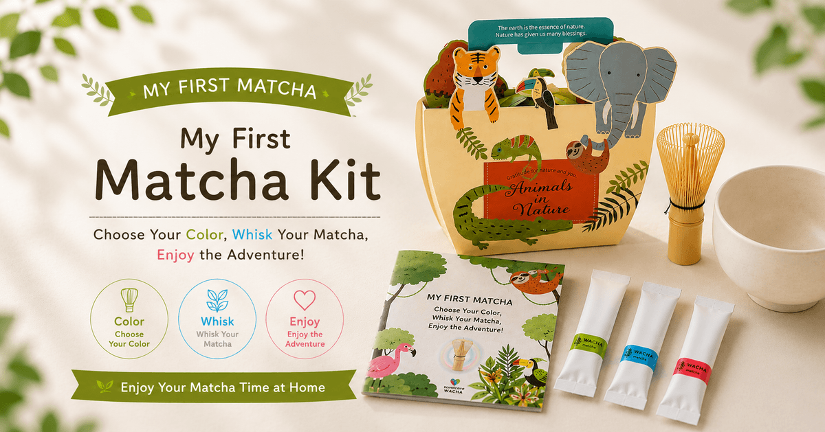 My First Matcha Kit for kids and parents – WACHA's jungle-animal gift box with mini whisk, unbreakable bowl, and 3-color matcha sticks (Green, Blue, Red) My First Matcha Kit for kids and parents – WACHA's jungle-animal gift box with mini whisk, unbreakable bowl, and 3-color matcha sticks (Green, Blue, Red)
