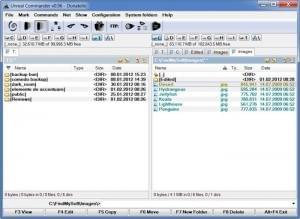 ThumbsPlus Pro 10 Full Activation Code ThumbsPlus Pro 10 Full Activation Code