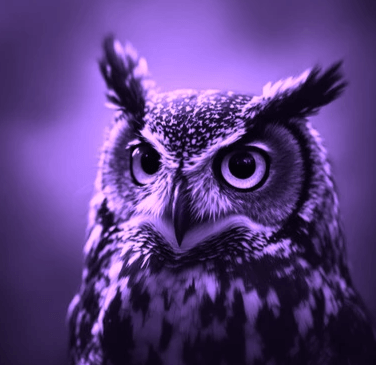 Zweetkamertje Academie gebouw Universiteit Leiden Zweetkamertje Academie gebouw Universiteit Leiden