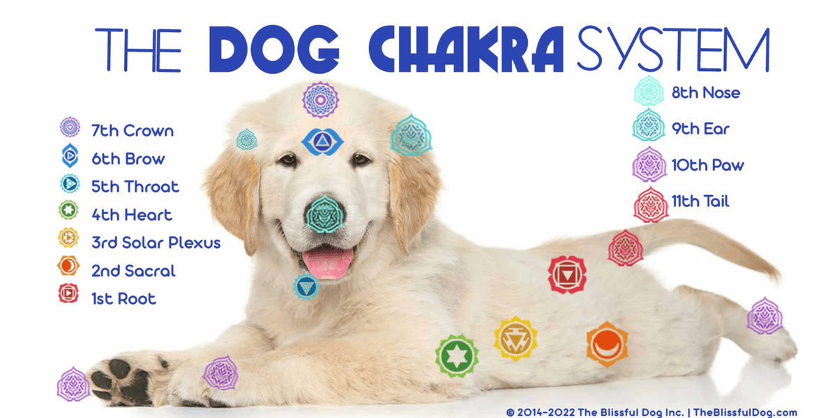 vibrational-medicine-lightbody-of-a-human vibrational-medicine-lightbody-of-a-human