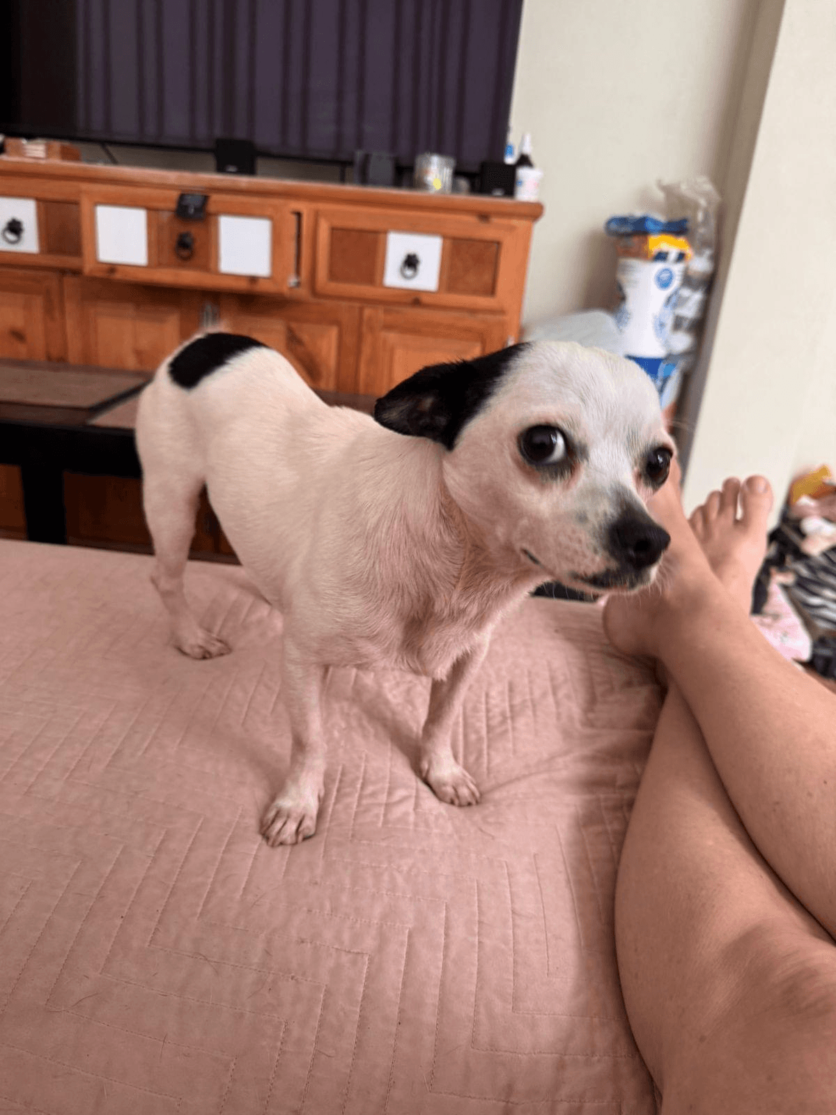 Section image