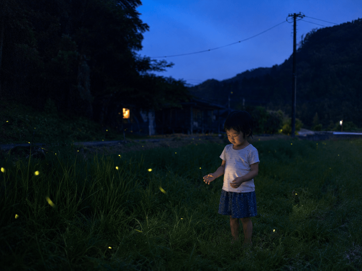 千葉県富津市 和心村の天然蛍鑑賞ツアー 千葉県富津市 和心村の天然蛍鑑賞ツアー