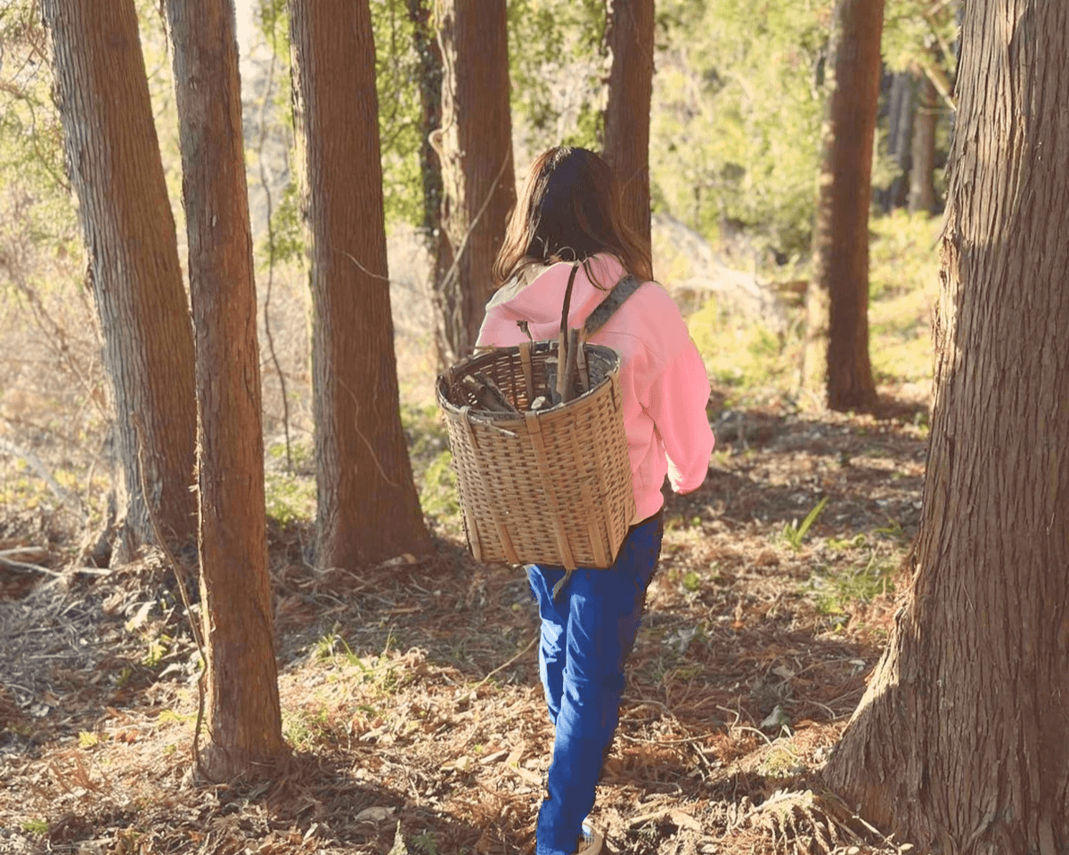 猫と暮らす古民家グランピング【和心村公式】|千葉富津・東京から1時間|サウナ&カフェも完備  千葉県富津市の豊かな自然に囲まれた和心村は、東京から車でわずか1時間、「人と動物と自然が調和する共生の村」をコンセプトにした唯一無二のグランピング 猫と暮らす古民家グランピング【和心村公式】|千葉富津・東京から1時間|サウナ&カフェも完備  千葉県富津市の豊かな自然に囲まれた和心村は、東京から車でわずか1時間、「人と動物と自然が調和する共生の村」をコンセプトにした唯一無二のグランピング