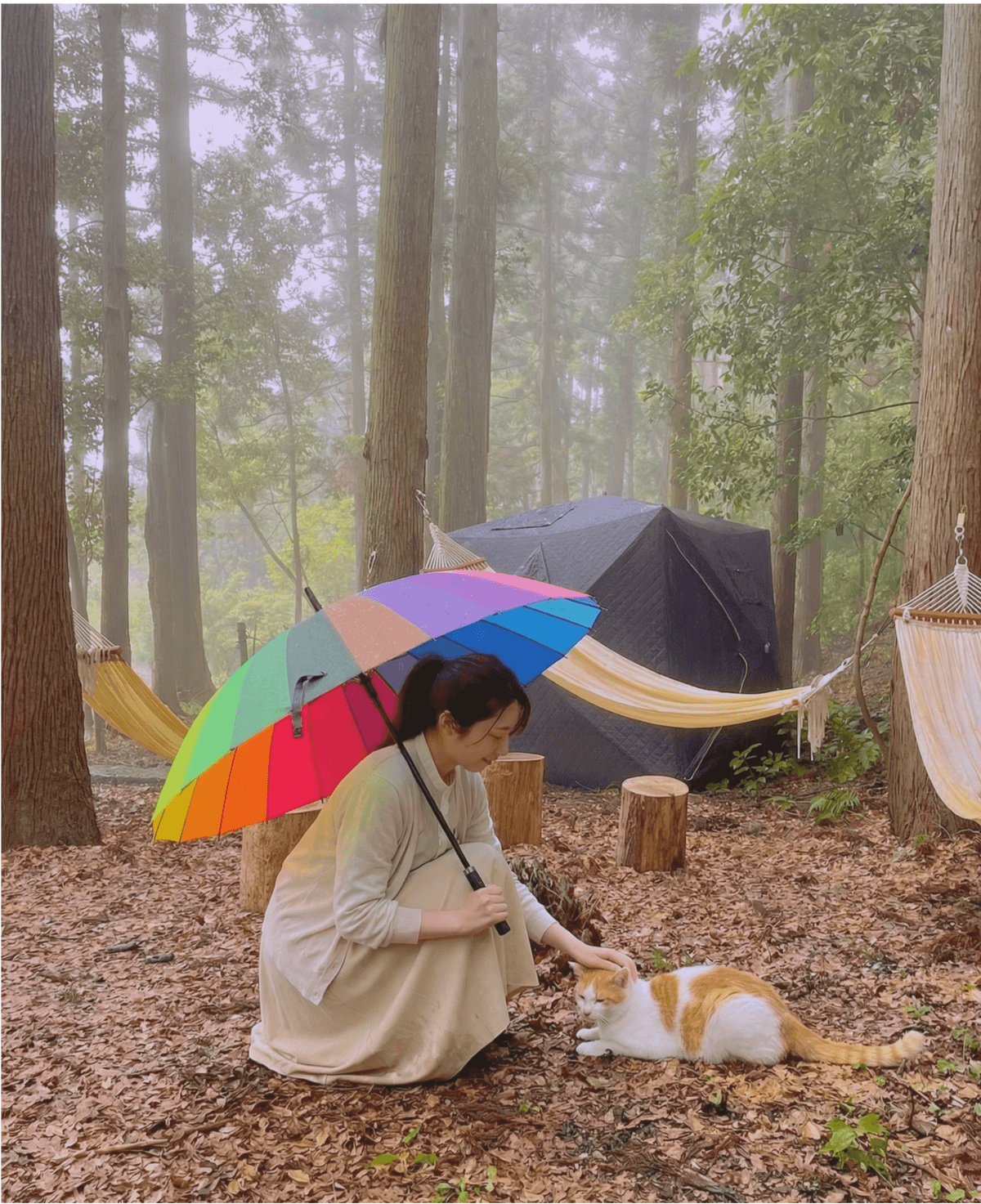 雨の日の和心村で楽しむレインボー傘、猫と触れ合い 雨の日の和心村で楽しむレインボー傘、猫と触れ合い