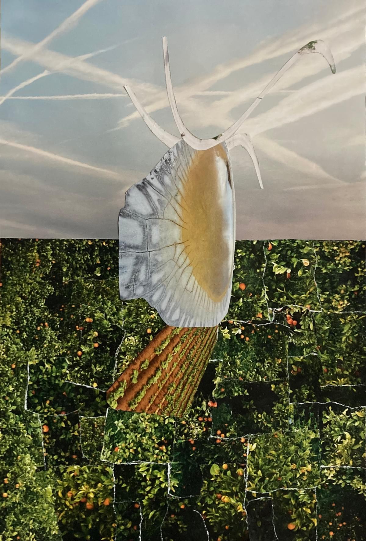 Circulación (Metabolización) - 19,7x29,4 cm - Silvia Estrems 2026 Circulación (Metabolización) - 19,7x29,4 cm - Silvia Estrems 2026