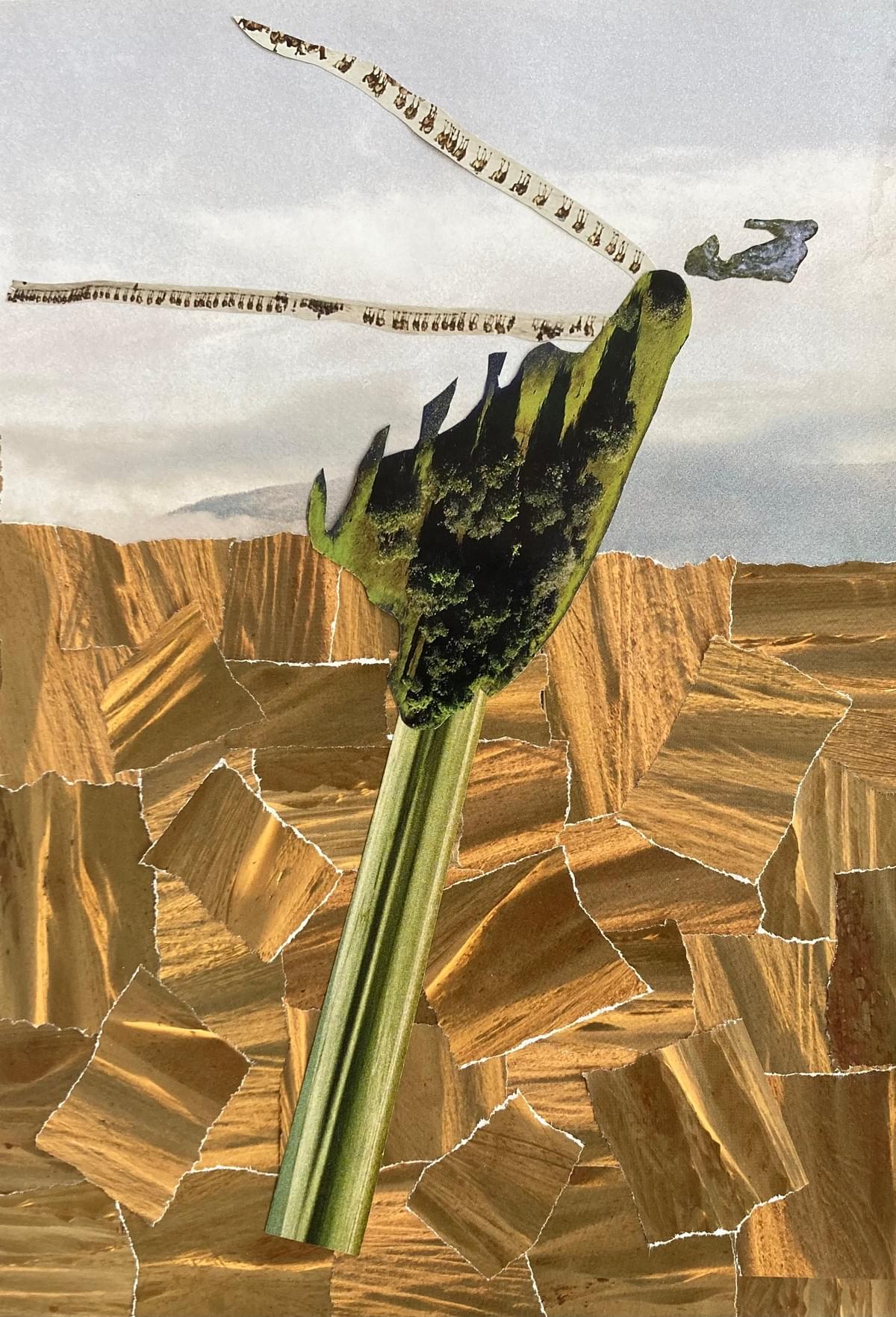 Fermentación (Metabolización) - 20,9x31 cm - Silvia Estrems 2026 Fermentación (Metabolización) - 20,9x31 cm - Silvia Estrems 2026