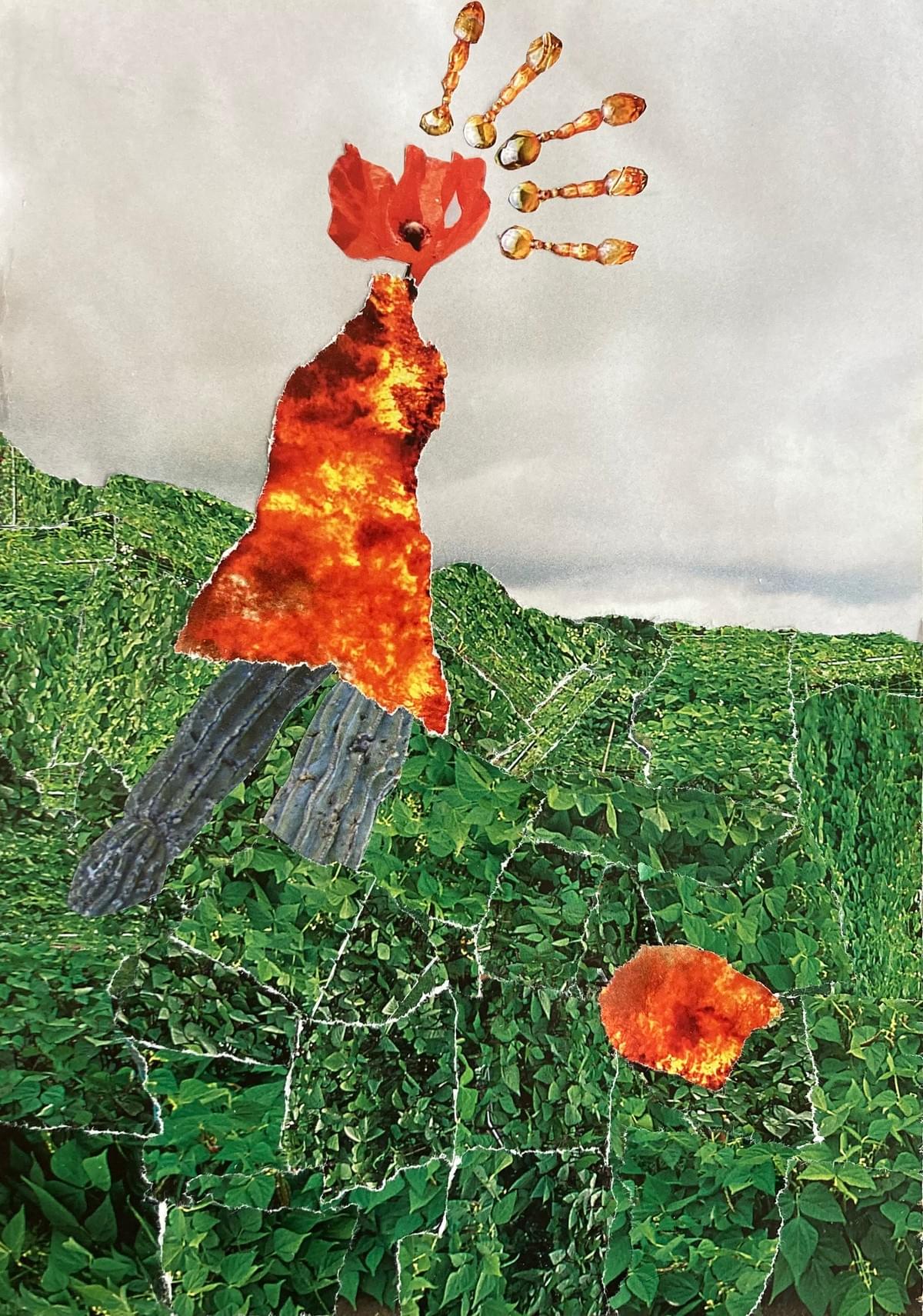 Combustión (Metabolización) - 21,4x30,4 cm - Silvia Estrems 2026 Combustión (Metabolización) - 21,4x30,4 cm - Silvia Estrems 2026