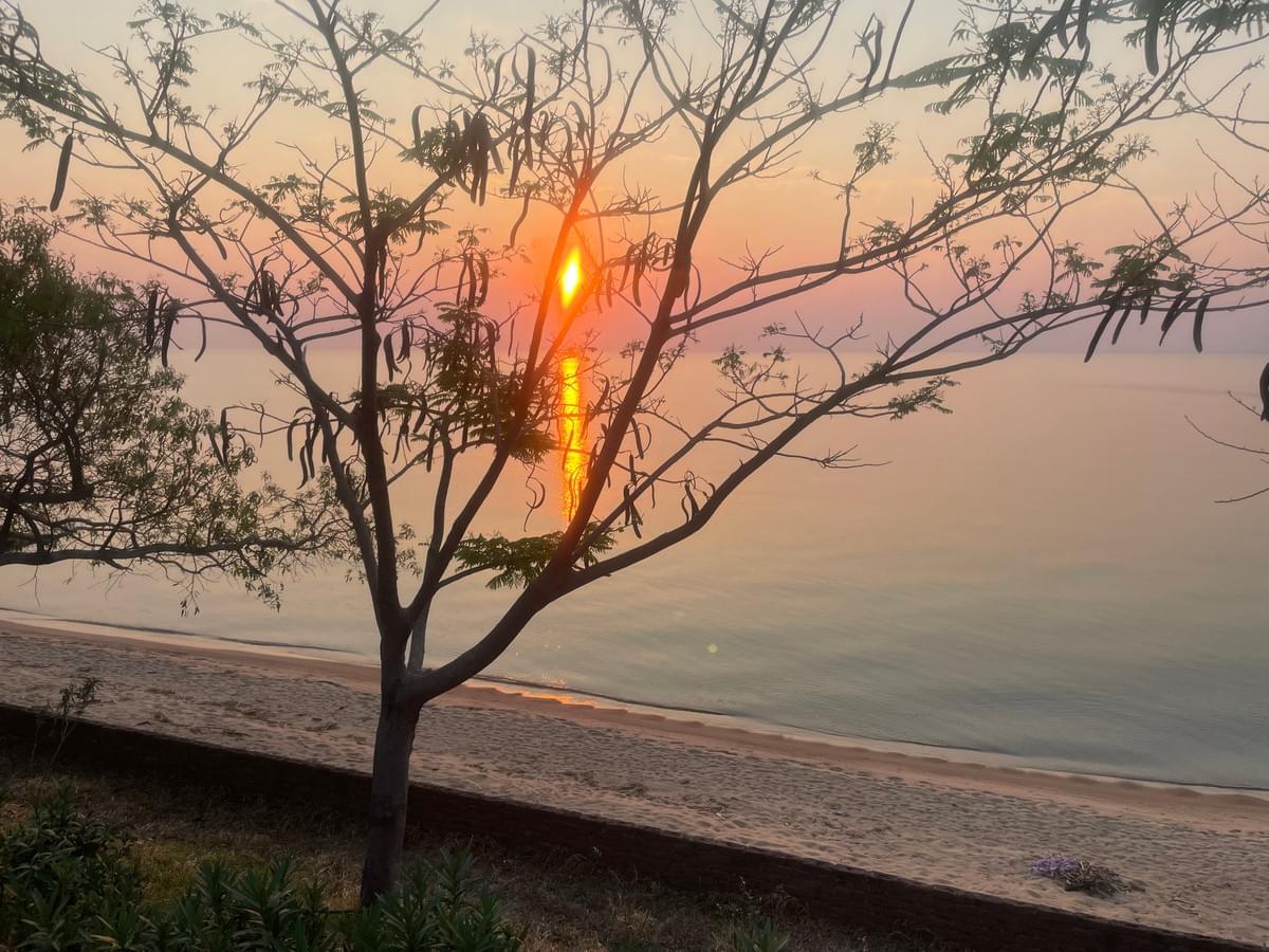 © Image By Peter Williams © Image By Peter Williams