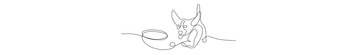 Pourquoi choisir d'éduquer mon chien ? Pourquoi choisir d'éduquer mon chien ?