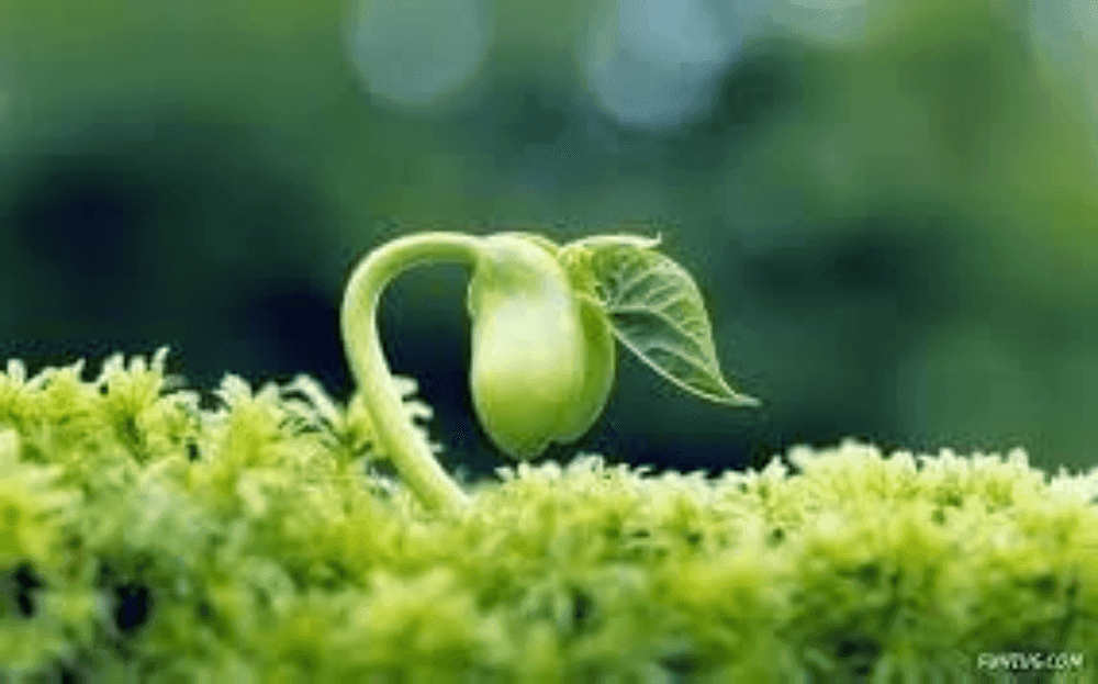 Connect with other families and educators to share resources, knowledge, and support for homeschooling and community initiatives. Resource Sharing Network Our Mission A collective of educators offering classes, workshops, and events for children, families, and community building. A homeschool co op and resource sharing network for causes aligned with social impact, self reliance, and a culture of vibrant creativity, interconnection, resourcefulness, and service. Connect with other families and educators to share resources, knowledge, and support for homeschooling and community initiatives. Resource Sharing Network Our Mission A collective of educators offering classes, workshops, and events for children, families, and community building. A homeschool co op and resource sharing network for causes aligned with social impact, self reliance, and a culture of vibrant creativity, interconnection, resourcefulness, and service.