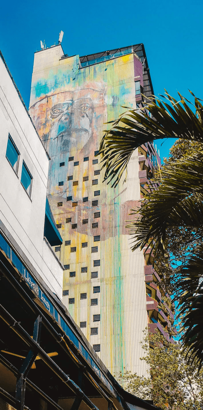 street art of a gorilla on a building in medellin street art of a gorilla on a building in medellin