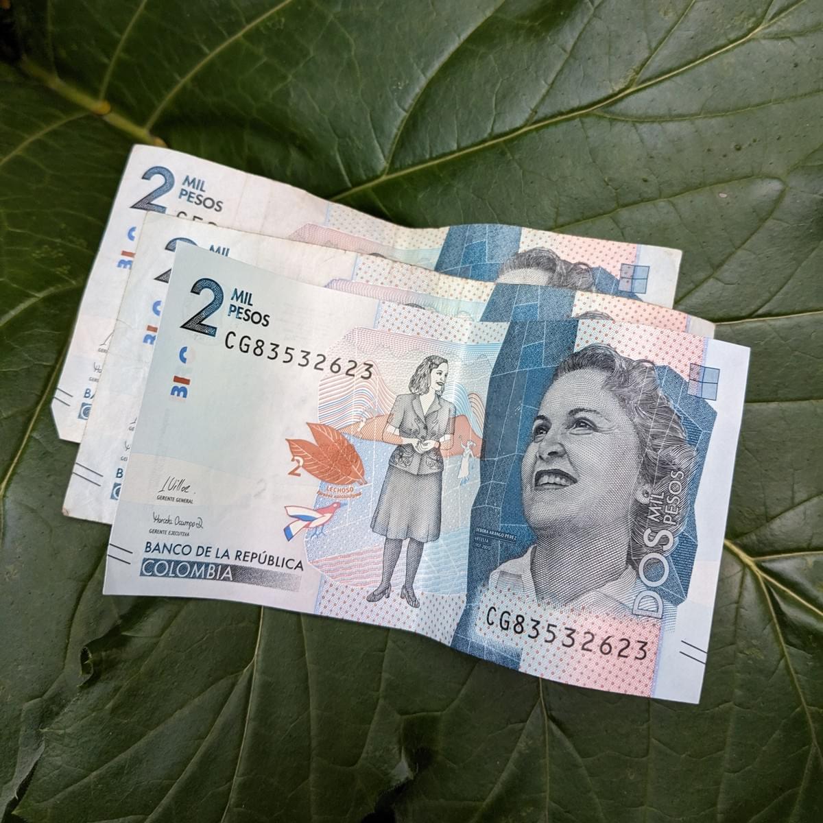 Refunded tip in Colombian pesos Refunded tip in Colombian pesos