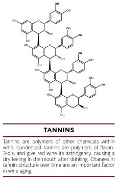Tannins Tannins