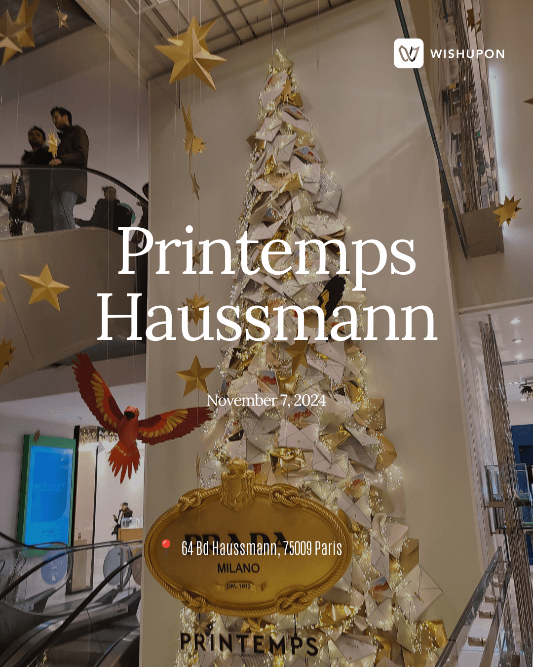 printemps,printemps paris,paris,christmas,noel, noel sapin printemps,printemps paris,paris,christmas,noel, noel sapin