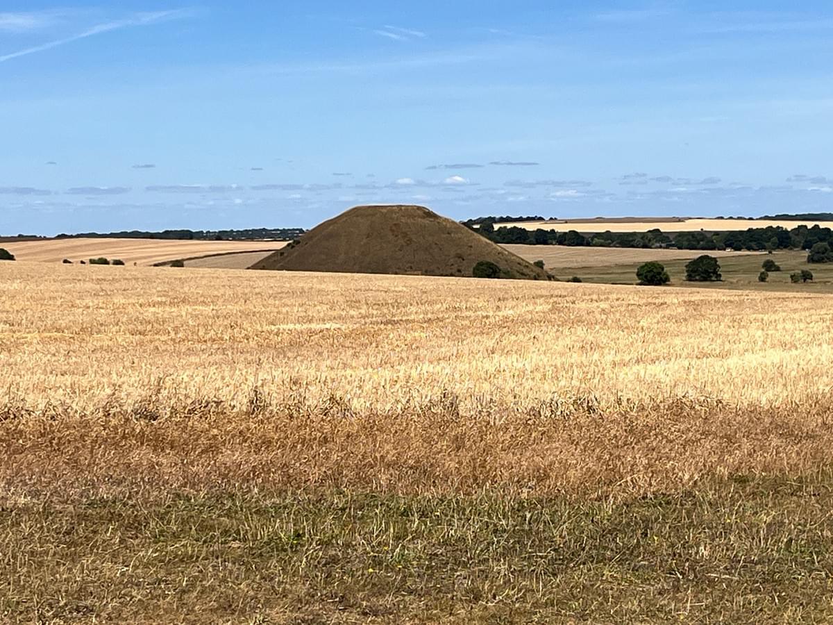 Section image