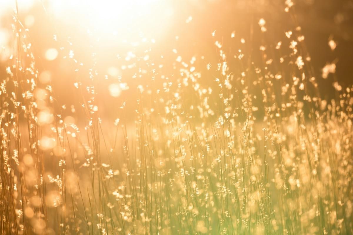 hand reaching out towards sunset hand reaching out towards sunset