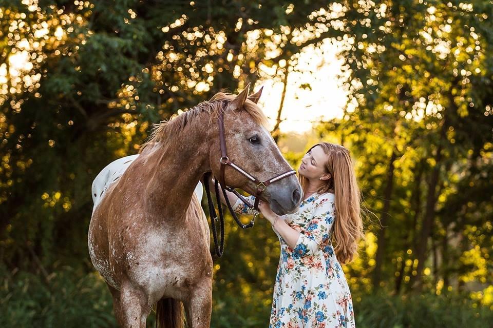 shadowed hand reaching out into the mists shadowed hand reaching out into the mists