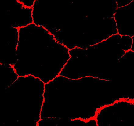 broken image
