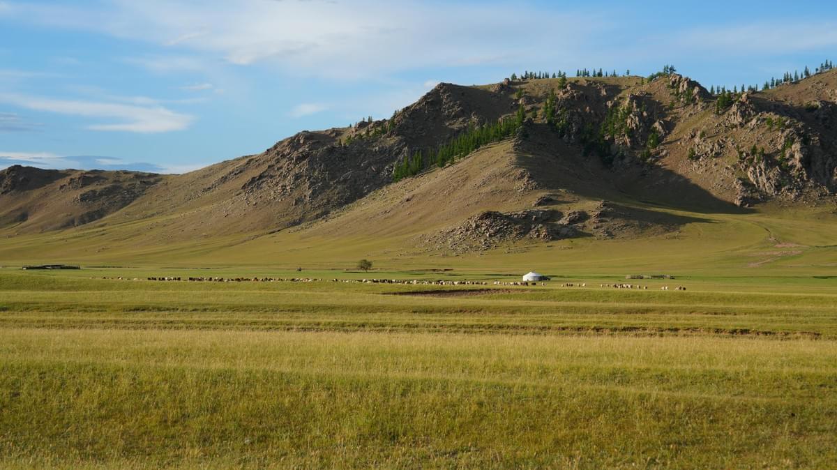 Section image