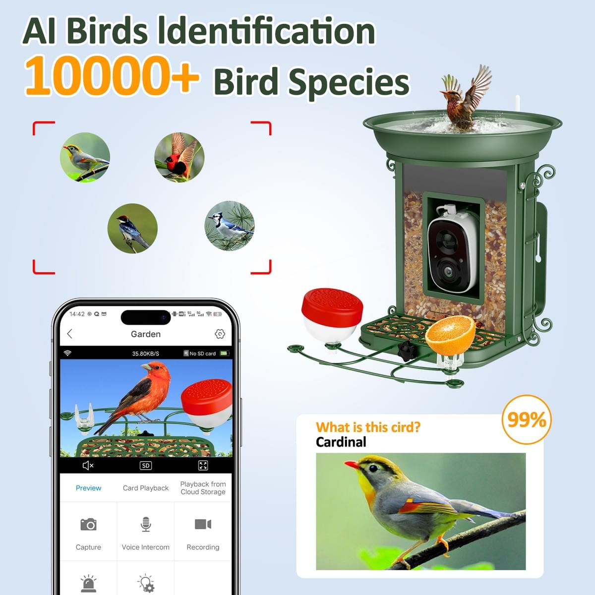 New AI Camera Identify 10000+ Waterproof Solar Panels Wild Bird Feeder for Outdoor Watching