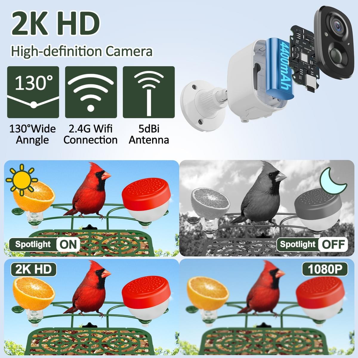 New AI Camera Identify 10000+ Waterproof Solar Panels Wild Bird Feeder for Outdoor Watching