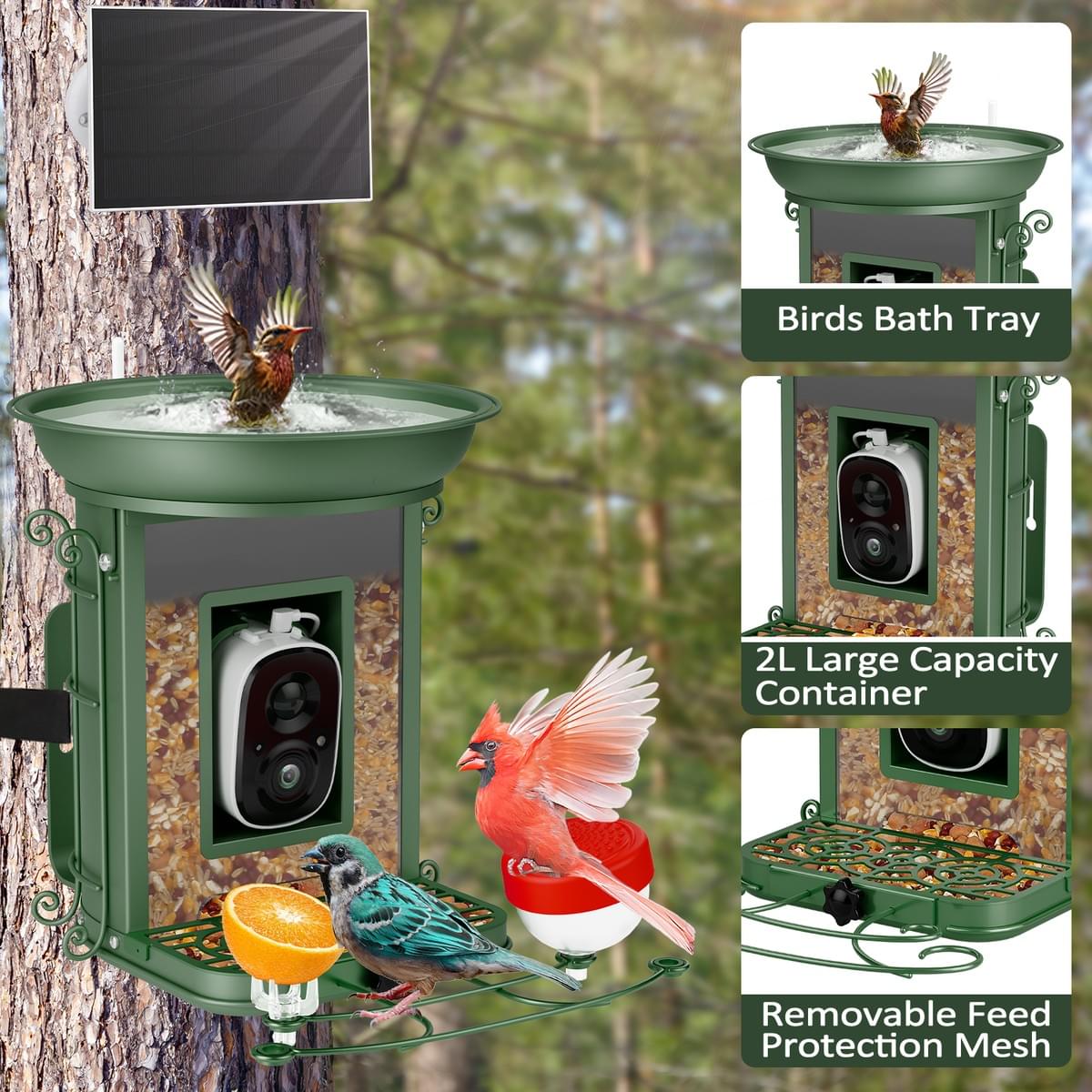 New AI Camera Identify 10000+ Waterproof Solar Panels Wild Bird Feeder for Outdoor Watching