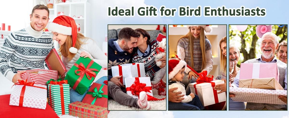 New AI Camera Identify 10000+ Waterproof Solar Panels Wild Bird Feeder for Outdoor Watching