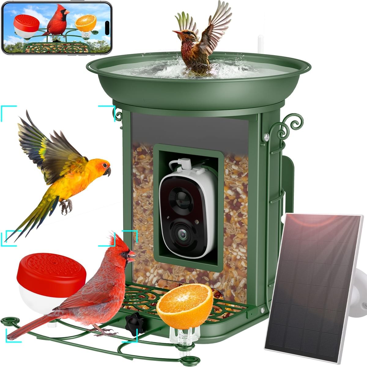 New AI Camera Identify 10000+ Waterproof Solar Panels Wild Bird Feeder for Outdoor Watching