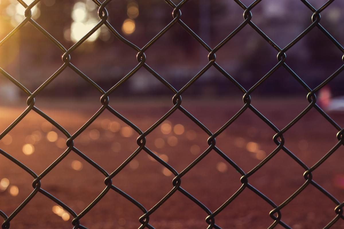 chain link fence dog run chain link fence dog run
