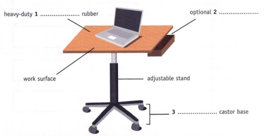 Bài tập Flow Chart IELTS Listening Bài tập Flow Chart IELTS Listening