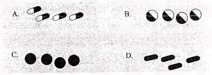 Chuyên đề Matching Information IELTS Listening Chuyên đề Matching Information IELTS Listening